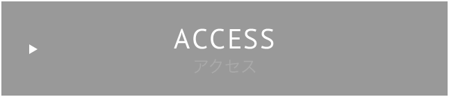 ACCESS